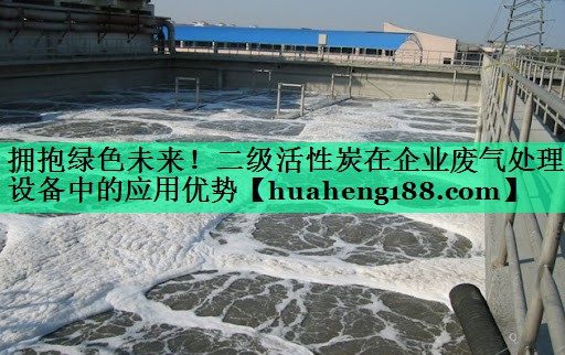 拥抱绿色未来！二级活性炭在企业废气处理设备中的应用优势