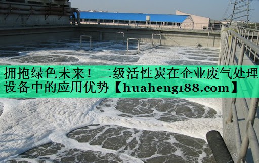 拥抱绿色未来！二级活性炭在企业废气处理设备中的应用优势