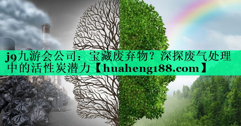 宝藏废弃物？深探废气处理中的活性炭潜力