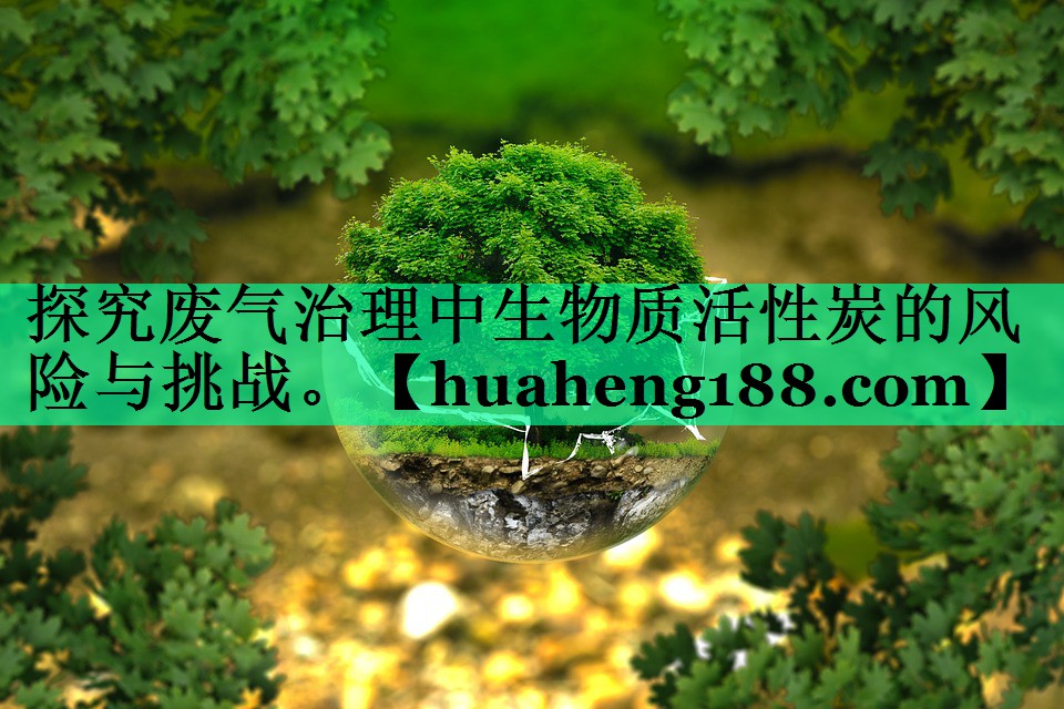 探究废气治理中生物质活性炭的风险与挑战。