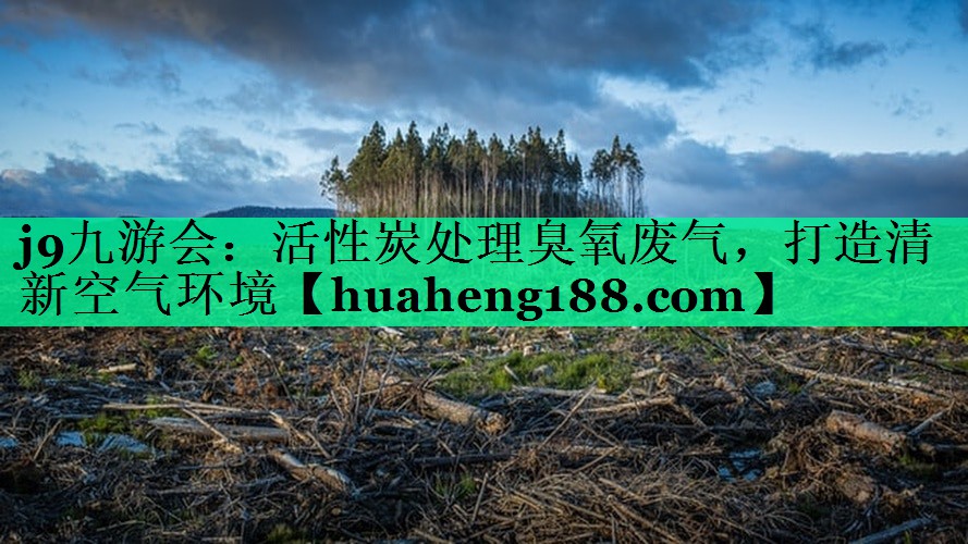 活性炭处理臭氧废气，打造清新空气环境